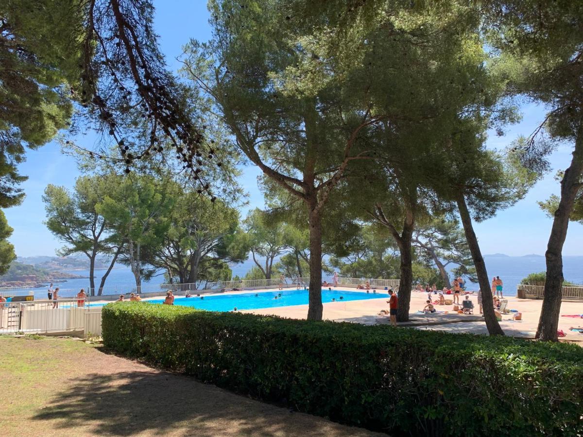 Horizon Bleu Bandol : Appartement Pieds Dans L'Eau Exterior photo